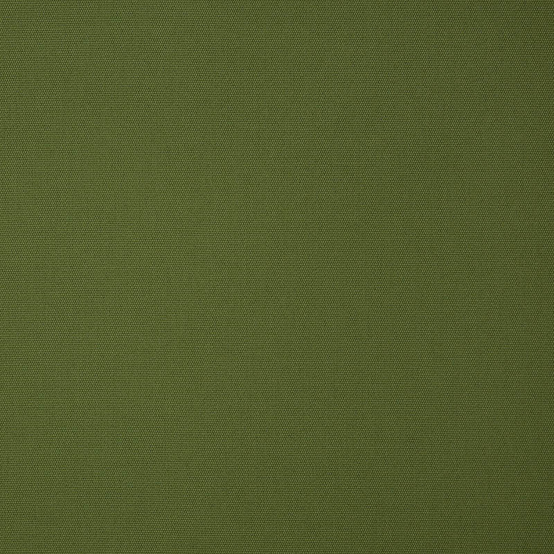 5421 Canvas Palm by Sunbrella Fabric Cushion Furniture Drapery Fabrics > Sunbrella Solids 100% Acrylic USA or Imported n/a 54" - Fabric Carolina -
