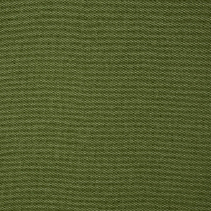 5421 Canvas Palm by Sunbrella Fabric Cushion Furniture Drapery Fabrics > Sunbrella Solids 100% Acrylic USA or Imported n/a 54" - Fabric Carolina -