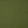 5421 Canvas Palm by Sunbrella Fabric