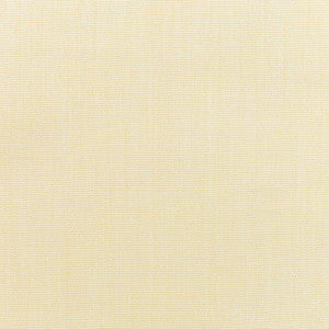5498 Canvas Vellum by Sunbrella Fabric