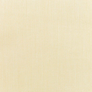 5498 Canvas Vellum by Sunbrella Fabric