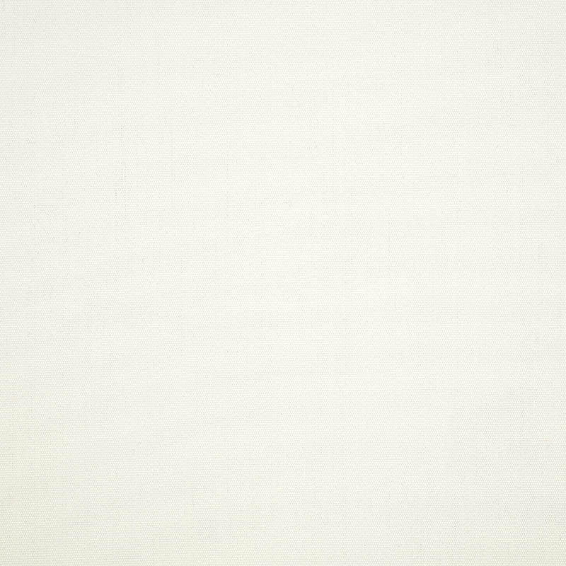 57003 Canvas White by Sunbrella Fabric Cushion Furniture Drapery Fabrics > Sunbrella Solids 100% Acrylic USA or Imported n/a 54" - Fabric Carolina -