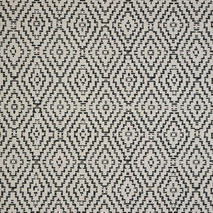 145601-0001 Capra II Shadow by Sunbrella Fabric
