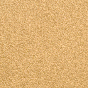 Caressa Buff 1001090 by CMI Enterprises Fabric