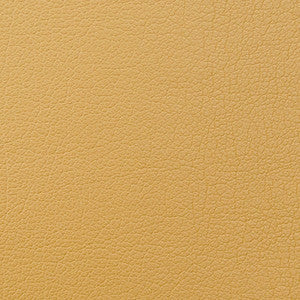 Caressa Chamois 1001087 by CMI Enterprises Fabric