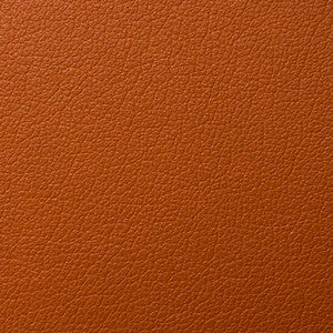 Caressa Havana 1001094 by CMI Enterprises Fabric