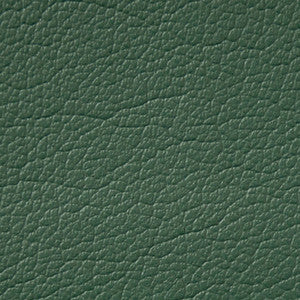 Caressa Mallard 1001115 by CMI Enterprises Fabric