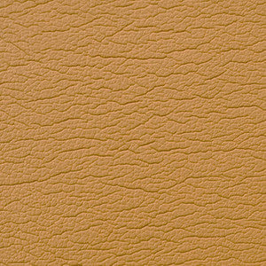 Caressa Pecan 1001091 by CMI Enterprises Fabric