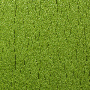 Caressa Peridot 1001126 by CMI Enterprises Fabric