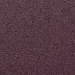 Caressa Plum 1001105 by CMI Enterprises Fabric