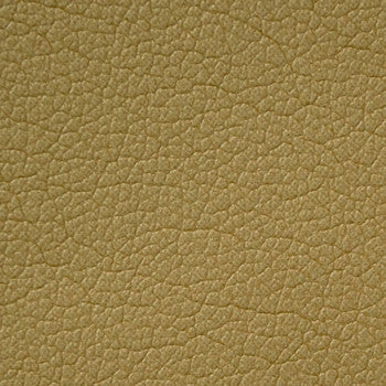 Caressa Sage 1001108 by CMI Enterprises Fabric See sample 100% Polyurethane USA or Imported Water-based cleaning agents and foam may be used for cleaning. Cleaning by a professional cleaning service is recommended. </p><p>Repeat: Horizontal: and Vertical: 54" - Fabric Carolina -