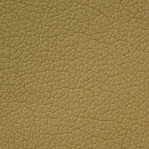 Caressa Sage 1001108 by CMI Enterprises Fabric