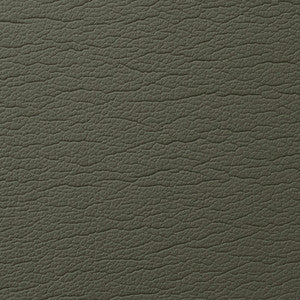 Caressa Slate 1001110 by CMI Enterprises Fabric