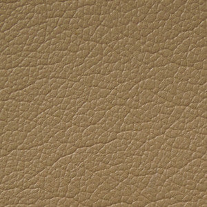 Caressa Stone 1001096 by CMI Enterprises Fabric