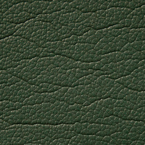 Caressa Yew Green 1001114 by CMI Enterprises Fabric