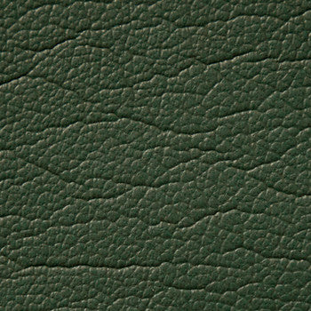 Caressa Yew Green 1001114 by CMI Enterprises Fabric See sample 100% Polyurethane USA or Imported Water-based cleaning agents and foam may be used for cleaning. Cleaning by a professional cleaning service is recommended. </p><p>Repeat: Horizontal: and Vertical: 54" - Fabric Carolina -