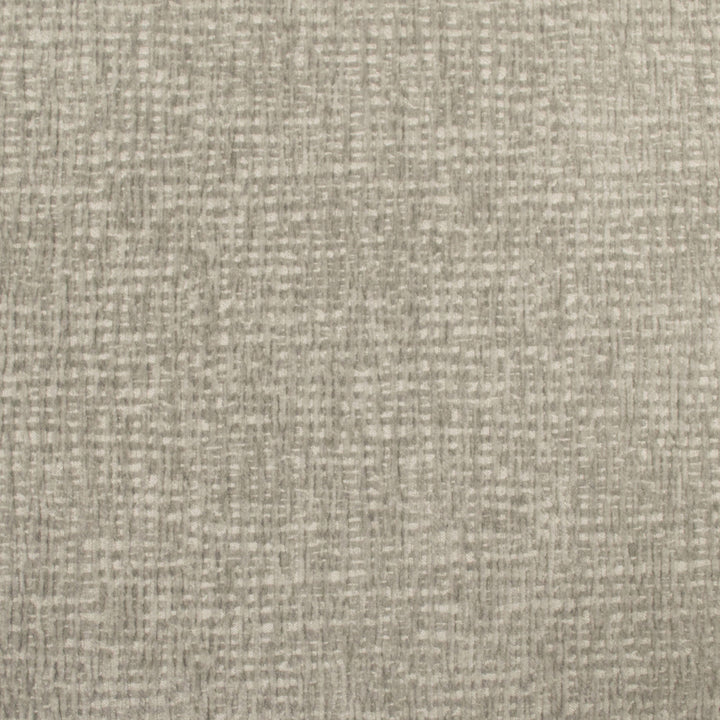 Carolina Dove by Europatex Fabric Carolina 100% Polyester 0.00" 55.00 inches - Fabric Carolina -