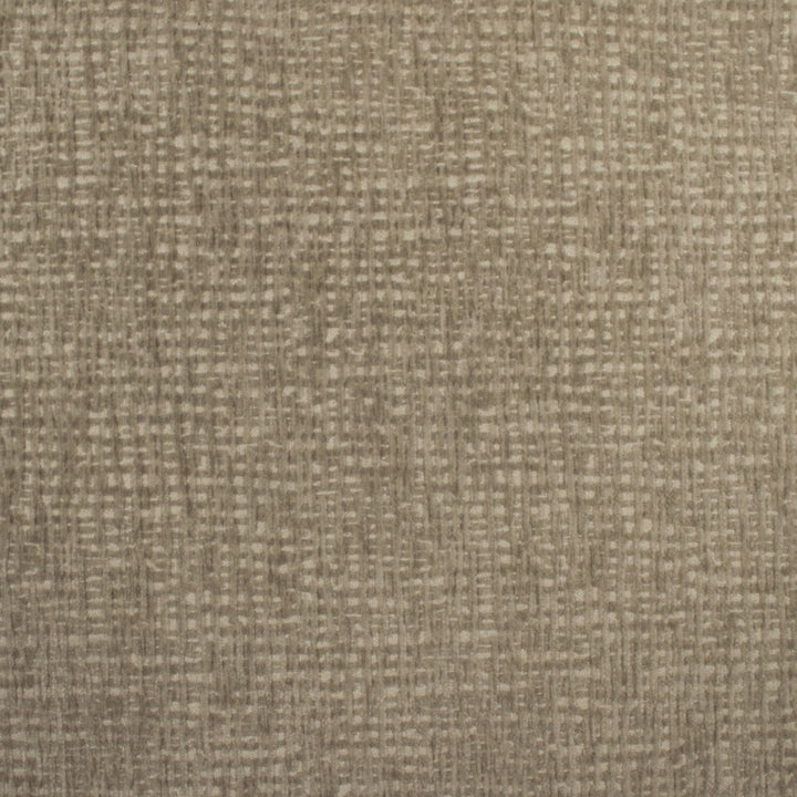 Carolina Mushroom by Europatex Fabric Carolina 100% Polyester 0.00" 55.00 inches - Fabric Carolina -