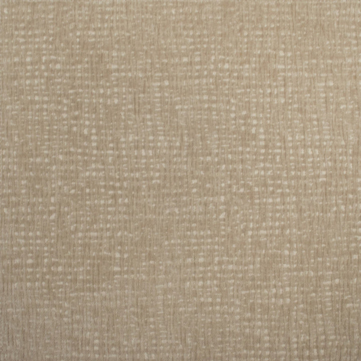 Carolina Porridge by Europatex Designer Fabric Carolina 100% Polyester China 40,000 Double Rubs Horizontal: N/A and Vertical: N/A 55" - Swanky Fabrics -