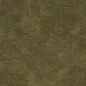 Carrara Dark Green CR 502 by Morbern Fabric See sample 100% Vinyl USA or Imported Water-based cleaning agents and foam may be used for cleaning. Cleaning by a professional cleaning service is recommended. </p><p>Repeat: Horizontal: and Vertical: 54" - Fabric Carolina -