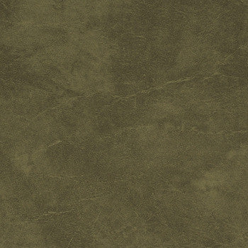 Carrara Dark Green CR 502 by Morbern Fabric See sample 100% Vinyl USA or Imported Water-based cleaning agents and foam may be used for cleaning. Cleaning by a professional cleaning service is recommended. 54 - Fabric Carolina -