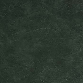 Carrara Forest Green CR 503 by Morbern Designer Fabric See sample 100% Vinyl USA or Imported Water-based cleaning agents and foam may be used for cleaning. Cleaning by a professional cleaning service is recommended. </p><p>Repeat: Horizontal: and Vertical: 54" - Swanky Fabrics -