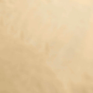 Casablanca 1 by Europatex Fabric