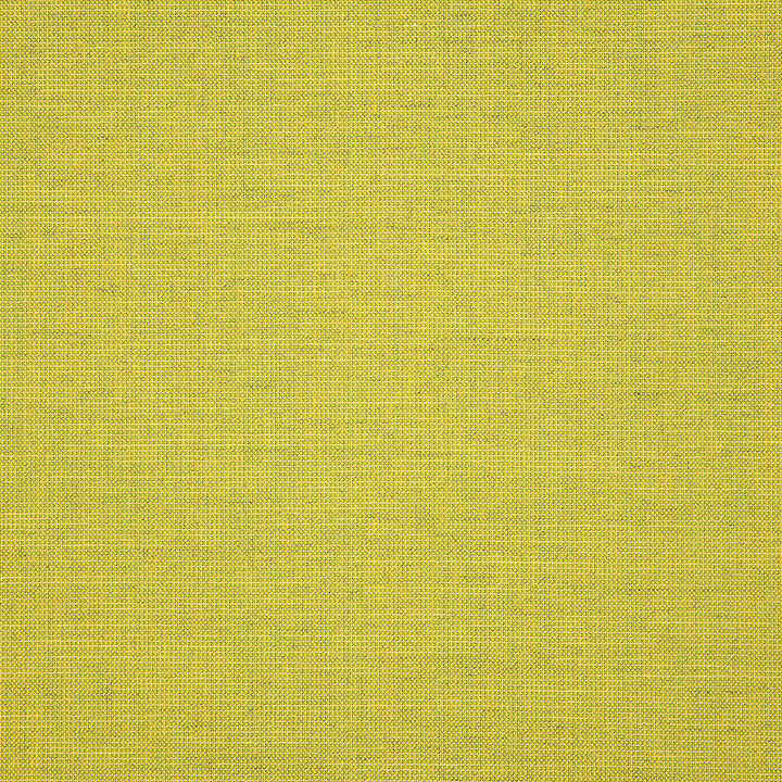 48112 Cast Citrus by Sunbrella Fabric Cushion Furniture Drapery Fabrics > Sunbrella Solids 100% Acrylic USA or Imported n/a 54 - Fabric Carolina -