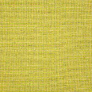 48112 Cast Citrus by Sunbrella Fabric