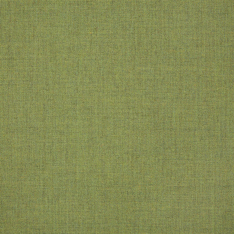48109 Cast Moss by Sunbrella Fabric Cushion Furniture Drapery Fabrics > Sunbrella Solids 100% Acrylic USA or Imported n/a 54" - Fabric Carolina -