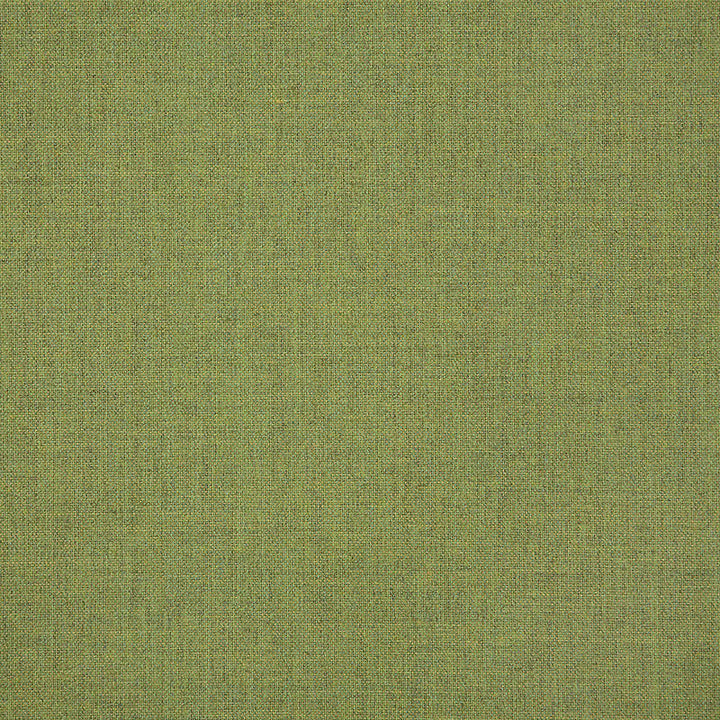 48109 Cast Moss by Sunbrella Fabric Cushion Furniture Drapery Fabrics > Sunbrella Solids 100% Acrylic USA or Imported n/a 54" - Fabric Carolina -