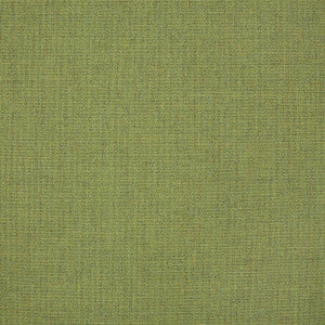 48109 Cast Moss by Sunbrella Fabric