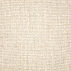 48114 Cast Pumice by Sunbrella Fabric