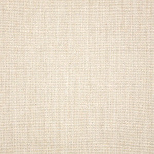 48114 Cast Pumice by Sunbrella Fabric