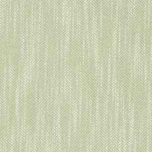 Catskill Celery by Bella-Dura Fabric
