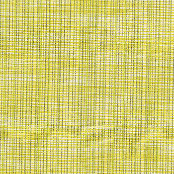 Chambray Citron by Spradling Designer Fabric See sample 100% Vinyl  100000 Horizontal: Not Applicable and Vertical: Not Applicable 54"  - Swanky Fabrics -