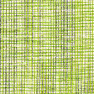Chambray Green by Spradling Fabric