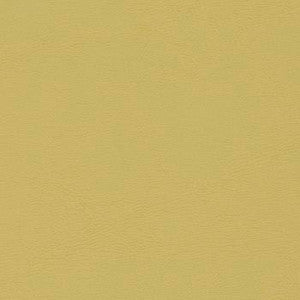 Chamea II Eden by Naugahyde Fabric