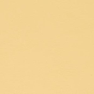 Chamea II First Light by Naugahyde Fabric