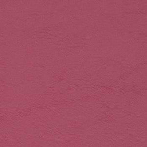 Chamea II Rosa CY 31 by Naugahyde Fabric