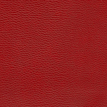 Chilis Garnet DY 4099 by Naugahyde Fabric See sample 100% Vinyl USA or Imported Water-based cleaning agents and foam may be used for cleaning. Cleaning by a professional cleaning service is recommended. </p><p>Repeat: Horizontal: and Vertical: 54" - Fabric Carolina -