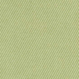 Chino Aloe 1007485 by Crypton Fabric