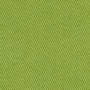 Chino Lime 1007484 by Crypton Fabric See sample 100% Polyester USA or Imported Water-based cleaning agents and foam may be used for cleaning. This fabric may also be cleaned with mild, water-free solvents. Cleaning by a professional service is recommended. </p><p>Repeat: Horizontal: Not Applicable and Vertical: Not Applicable 54" - Fabric Carolina -