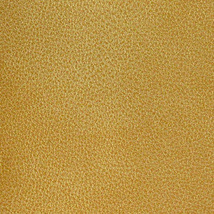 Clarke Citrine by Nassimi Fabric