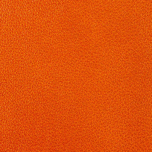 Clarke Coral by Nassimi Fabric