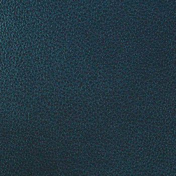 Clarke Lapis by Nassimi Fabric See sample 100% Polyurethane 250000 Horizontal: Not Applicable and Vertical: Not Applicable 54" - Fabric Carolina -