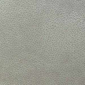 Clarke Silver by Nassimi Fabric
