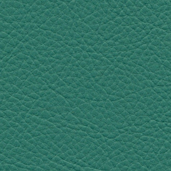 Classic Bayou SCL-101 by Nassimi Fabric See sample 100% Vinyl USA or Imported Water-based cleaning agents and foam may be used for cleaning. Cleaning by a professional cleaning service is recommended. 54 - Fabric Carolina -