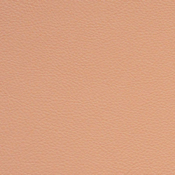 Classic Carnation by Nassimi Fabric See sample 100% Vinyl 500000 Horizontal: Not Applicable and Vertical: Not Applicable 54" - Fabric Carolina -