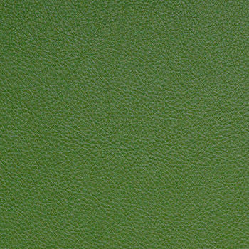 Classic Fern by Nassimi Fabric See sample 100% Vinyl 500000 Horizontal: Not Applicable and Vertical: Not Applicable 54" - Fabric Carolina -